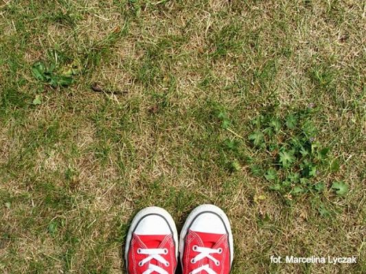  Grafika #1: ZIELONO MI grafika