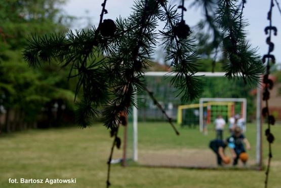  Grafika #5: ZIELONO MI grafika