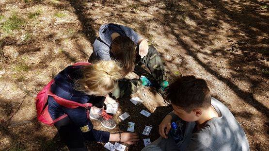  Grafika #0: BIWAK KLASY VI grafika