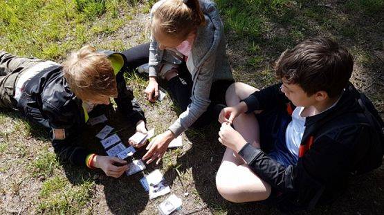  Grafika #1: BIWAK KLASY VI grafika