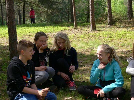  Grafika #8: BIWAK KLASY VI grafika