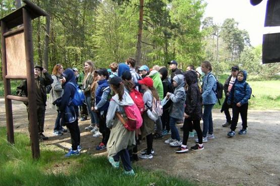  Grafika #0: NAUKA NIE POSZŁA W LAS grafika