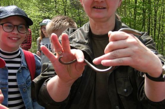  Grafika #1: NAUKA NIE POSZŁA W LAS grafika