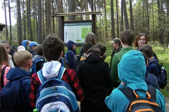  Grafika #2: NAUKA NIE POSZŁA W LAS grafika