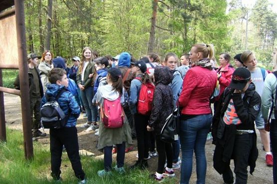  Grafika #3: NAUKA NIE POSZŁA W LAS grafika