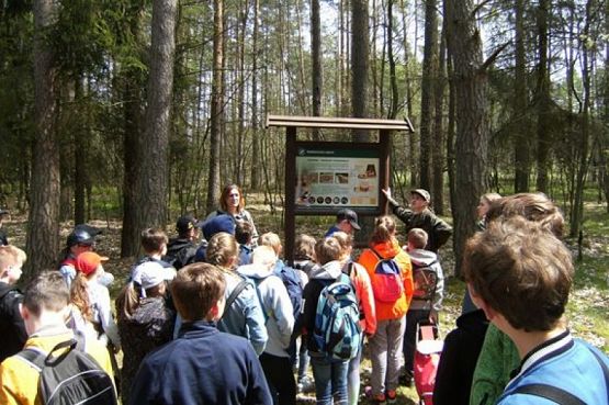  Grafika #4: NAUKA NIE POSZŁA W LAS grafika