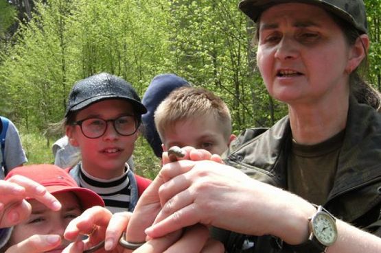  Grafika #5: NAUKA NIE POSZŁA W LAS grafika