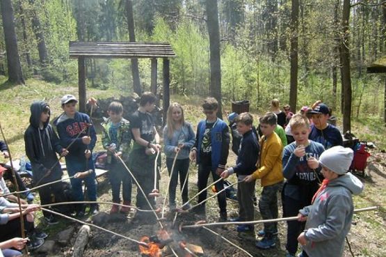  Grafika #6: NAUKA NIE POSZŁA W LAS grafika