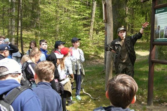  Grafika #7: NAUKA NIE POSZŁA W LAS grafika