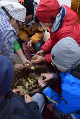  Grafika #7: KLASY DRUGIE W MUZEUM WSI SŁOWIŃSKIEJ W KLUKACH grafika